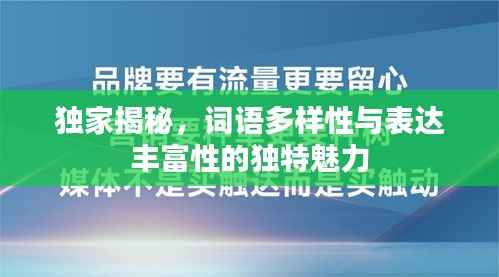 独家揭秘,词语多样性与表达丰富性的独特魅力