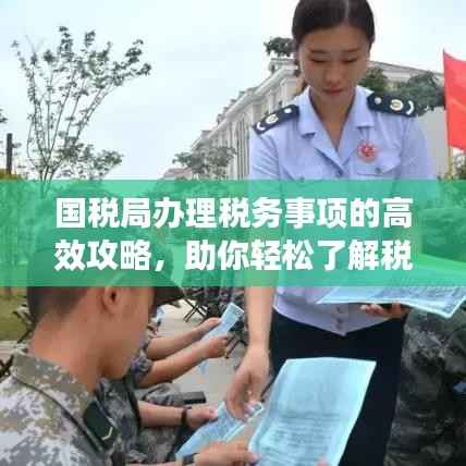 国税局办理税务事项的高效攻略，助你轻松了解税务流程