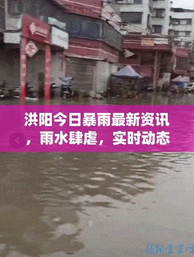 洪阳今日暴雨最新资讯,雨水肆虐,实时动态关注!