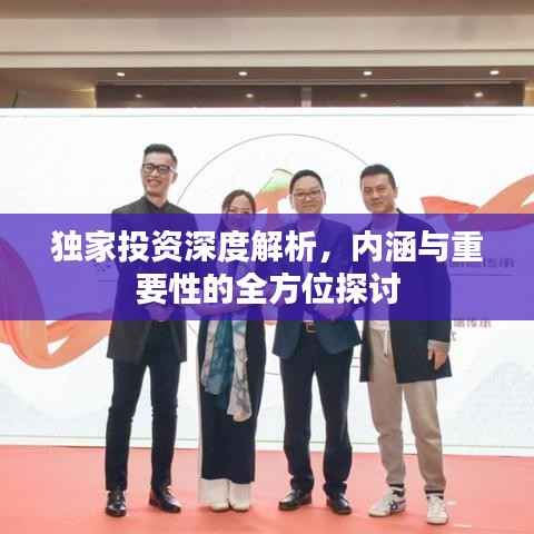 独家投资深度解析,内涵与重要性的全方位探讨