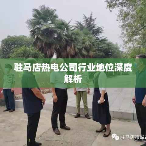 驻马店热电公司行业地位深度解析