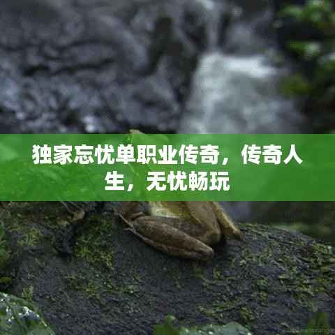 独家忘忧单职业传奇,传奇人生,无忧畅玩