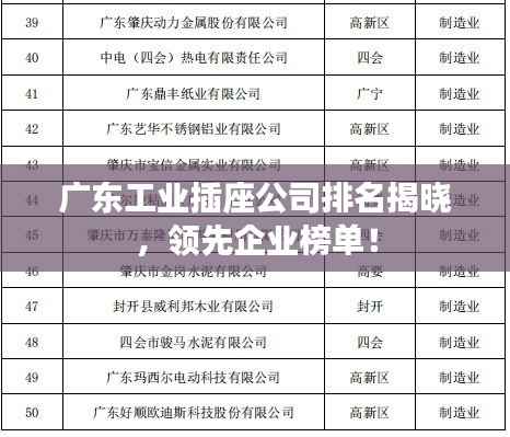 广东工业插座公司排名揭晓,领先企业榜单!