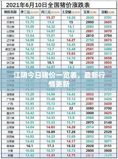 江阴今日猪价一览表，最新行情更新
