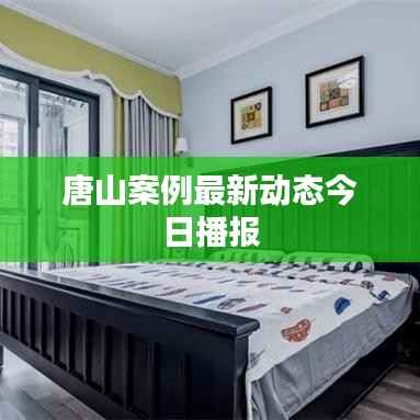 唐山案例最新动态今日播报