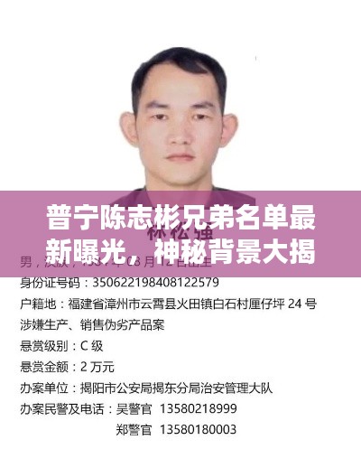 普宁陈志彬兄弟名单最新曝光,神秘背景大揭秘!