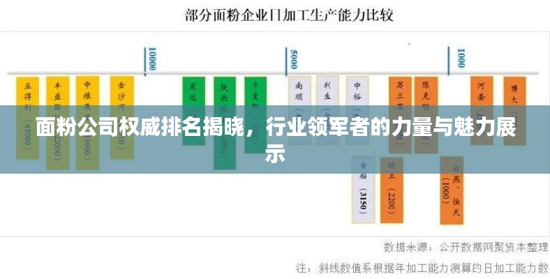 面粉公司权威排名揭晓,行业领军者的力量与魅力展示