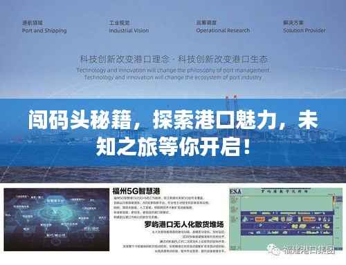 闯码头秘籍,探索港口魅力,未知之旅等你开启!