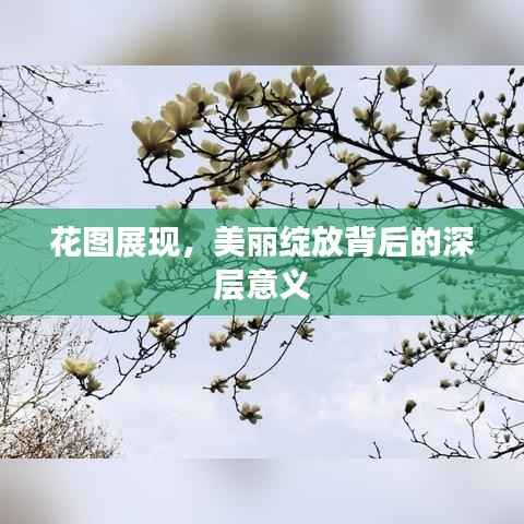 花图展现,美丽绽放背后的深层意义