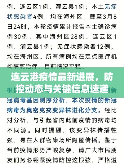 连云港疫情最新进展,防控动态与关键信息速递