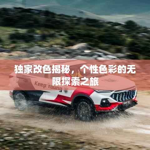 独家改色揭秘,个性色彩的无限探索之旅