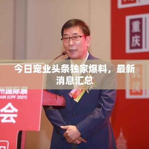 今日宠业头条独家爆料,最新消息汇总