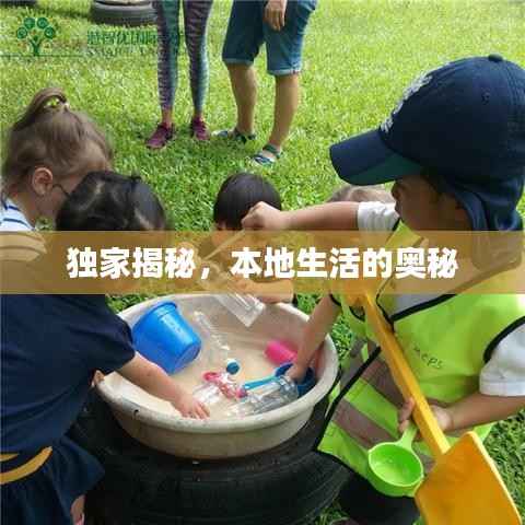 独家揭秘,本地生活的奥秘