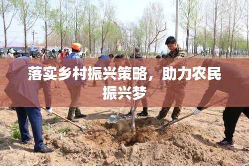 落实乡村振兴策略,助力农民振兴梦