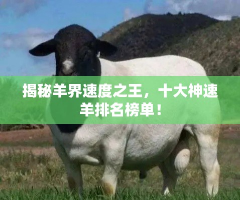 早生贵子