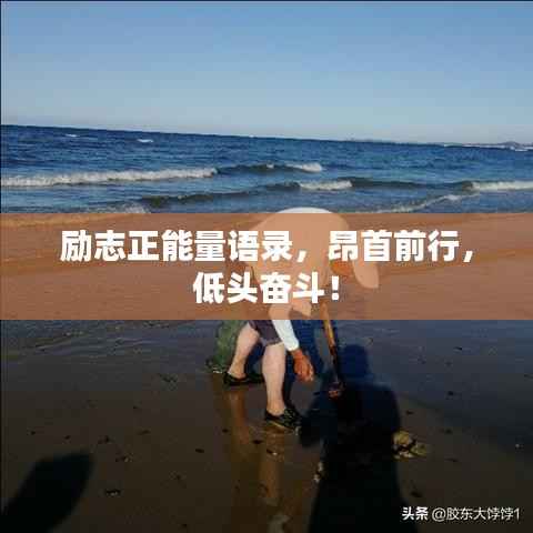 励志正能量语录,昂首前行,低头奋斗!