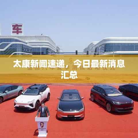 太康新闻速递，今日最新消息汇总