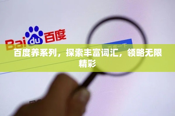 百度养系列,探索丰富词汇,领略无限精彩