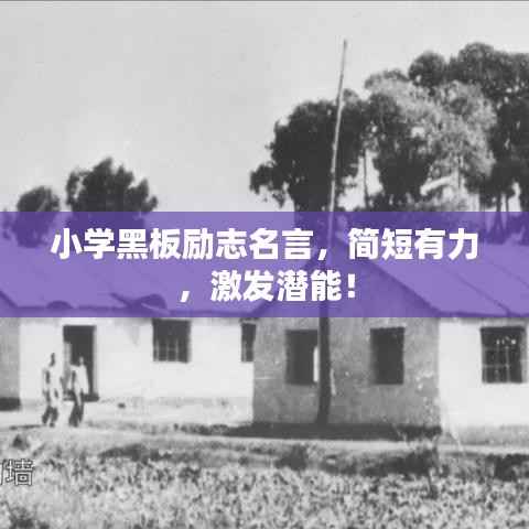 小学黑板励志名言,简短有力,激发潜能!