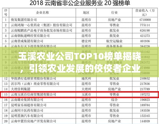 玉溪农业公司TOP10榜单揭晓,引领农业发展的佼佼者企业