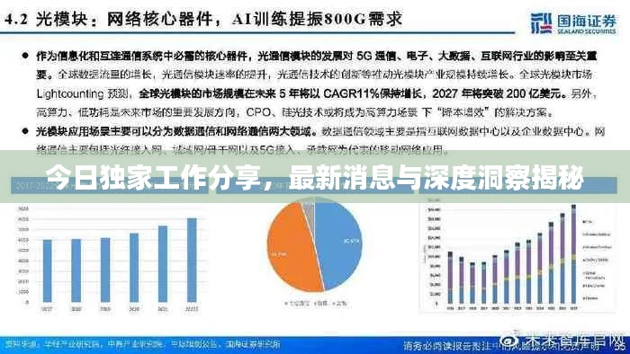 今日独家工作分享,最新消息与深度洞察揭秘
