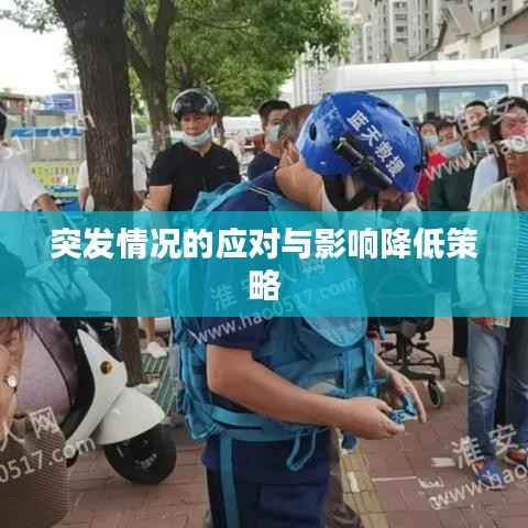 突发情况的应对与影响降低策略
