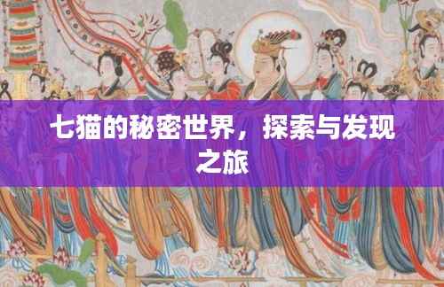 七猫的秘密世界,探索与发现之旅