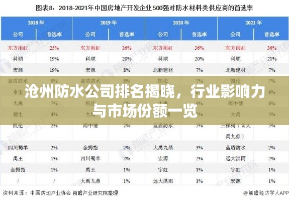 沧州防水公司排名揭晓,行业影响力与市场份额一览