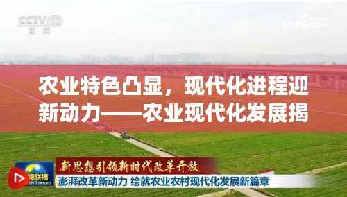 农业特色凸显,现代化进程迎新动力——农业现代化发展揭秘!