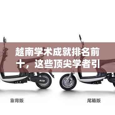 越南学术成就排名前十,这些顶尖学者引领全球创新浪潮!