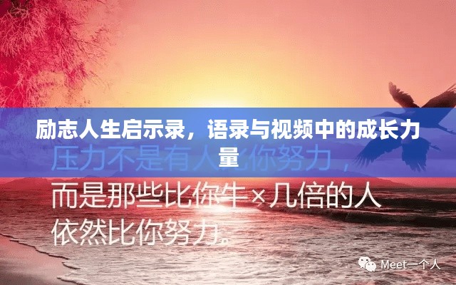 励志人生启示录,语录与视频中的成长力量