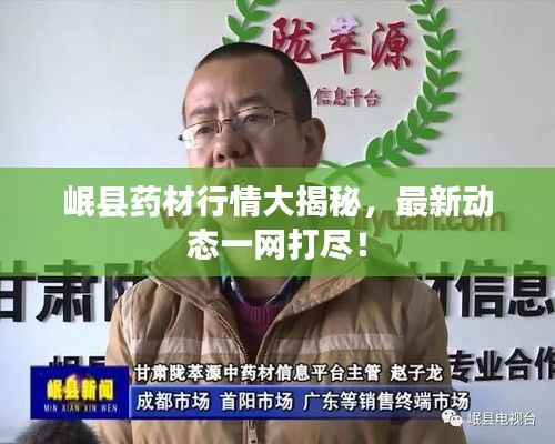 岷县药材行情大揭秘，最新动态一网打尽！