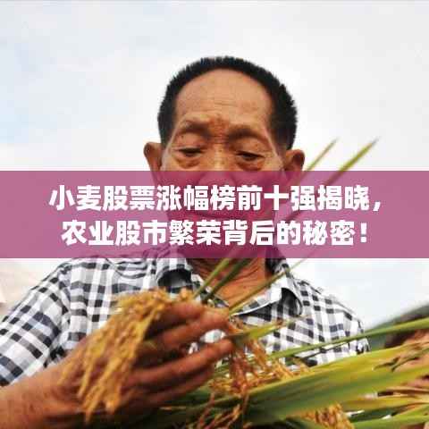 小麦股票涨幅榜前十强揭晓,农业股市繁荣背后的秘密!