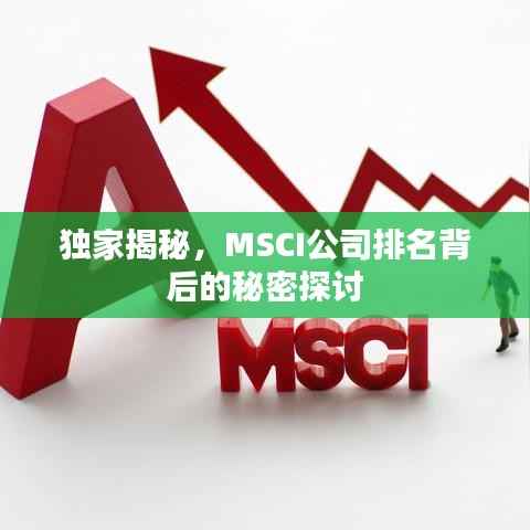独家揭秘,MSCI公司排名背后的秘密探讨