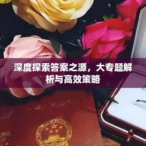 深度探索答案之源,大专题解析与高效策略
