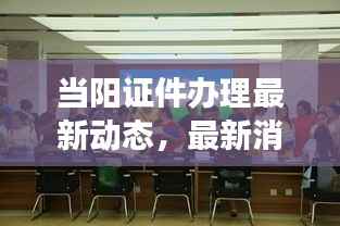 当阳证件办理最新动态,最新消息解读能否放证件办理服务