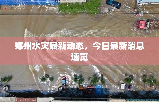 郑州水灾最新动态,今日最新消息速览