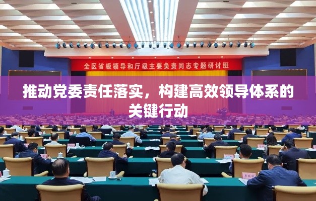 推动党委责任落实,构建高效领导体系的关键行动