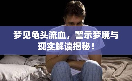 梦见龟头流血,警示梦境与现实解读揭秘!