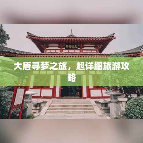 大唐寻梦之旅,超详细旅游攻略